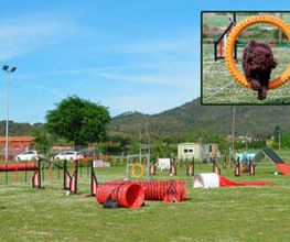 centre-cani-de-pals-centro-instalaciones-01.jpg