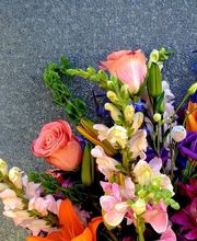 Broad Brook Gardens image 6