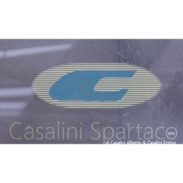 Casalini Spartaco S.n.c. logo
