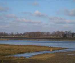 Grondverzet M J ten Elsen BV