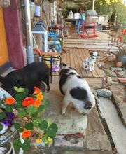 Tagesschule Wannenhof Bild 4