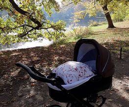KinderwagenMaxe Bild 2