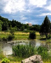 Alters- und Pflegeheim Sunneschyn Bild 3