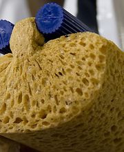 Bresse Hygiène image 2