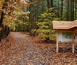 Eine Informationstafel am Eingang zum FriedWald Kamenz weist auf den besonderen Ort der letzten Ruhe mitten in der Natur hin.