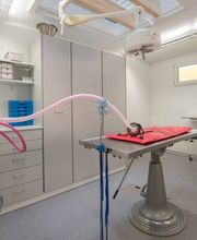 Kleintierpraxis Isenegger Bild 5