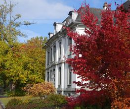Rütimann Rechtsanwälte I Anwaltskanzlei in Winterthur für Bau-, Erb- und Scheidungsrecht Bild 1