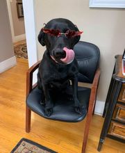 Scott Leming - State Farm Insurance Agent image 14