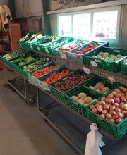 Azienda Agricola Mozzini Roberto Bild 1