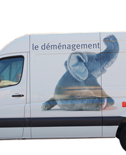 Balestrafic SA Bild 3