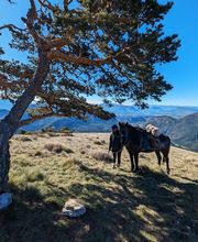 Les Sabots de Vénus image 8