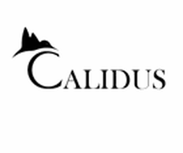 Calidus image 1