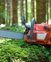 Wolf AG  Spiez Bild 4