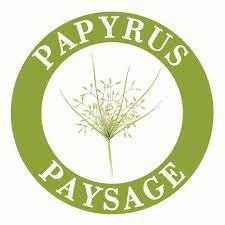 Papyrus Paysage