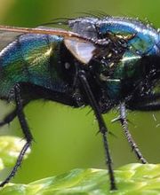 CIADIT SUISSE SA Bild 14