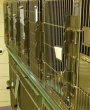 Cabinet vétérinaire Les Berges du Rhône SA Bild 3