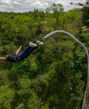 ELASTIC CROCODIL BUNGEE image 8