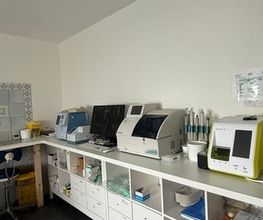 Dr Teixeira Micael Bild 6