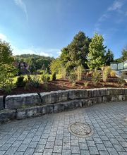 MEFA Garten- & Baumpflege Bild 4