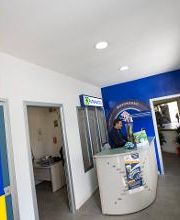 Euromaster Lentisco Gomme immagine 11