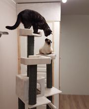 Pattenrond & Cie image 15