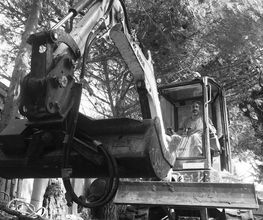 Vallard T.P image 1