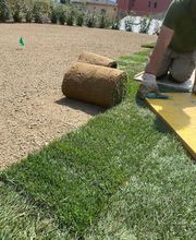 Gatti e Ticozzi Giardini Sagl Bild 5