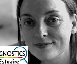 Diagnostics de l'Estuaire image 9
