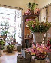 Blumenhaus Wiedikon Bild 5