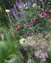 zehnder-garten GmbH Bild 7