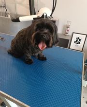 AU CHARME CANIN image 14