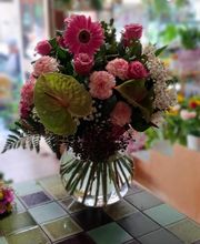 Gallery Cliente