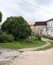 Cognac Michelet image 1