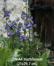 Print in Time Bild 1