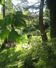 Blumen-Müller AG Bild 9