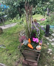 Gärtnerei Goldschmitt B. Jungnitsch Bild 5