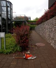 Gärtnerei Ziegler Samuel Bild 6