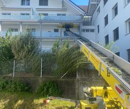 Umzugscenter Haefeli GmbH Bild 1