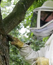 RIEDRICH Facility-Management GmbH Bild 5