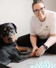 Hero Tierphysio Kochniss Bild 2