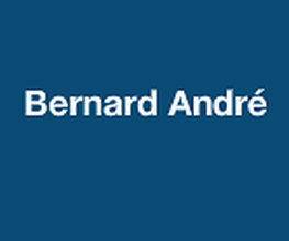 Bernard André image 2