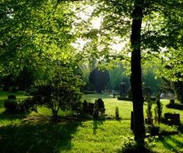 Friedwald