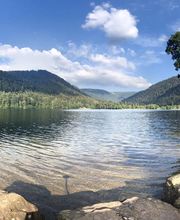 CAMPING LES JONQUILLES image 12