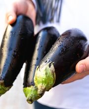 Dizengoff St Mandé image 7