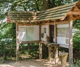 FriedWald Kisdorf Bild 3