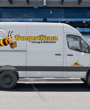 TransportBienen - Umzug & Möbeltaxi Bild 1