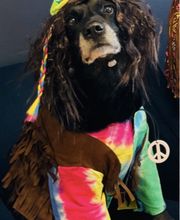 Cobb Hammett LLC image 11