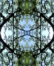 Meditationsraum hinter´m Rathaus Bild 1