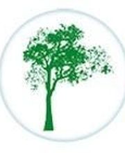 Breizh Arborescence image 6