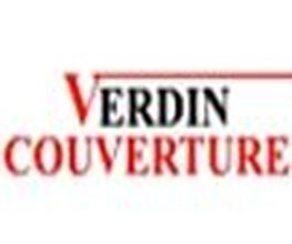 Verdin image 3